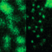 Super-resolution microscopy